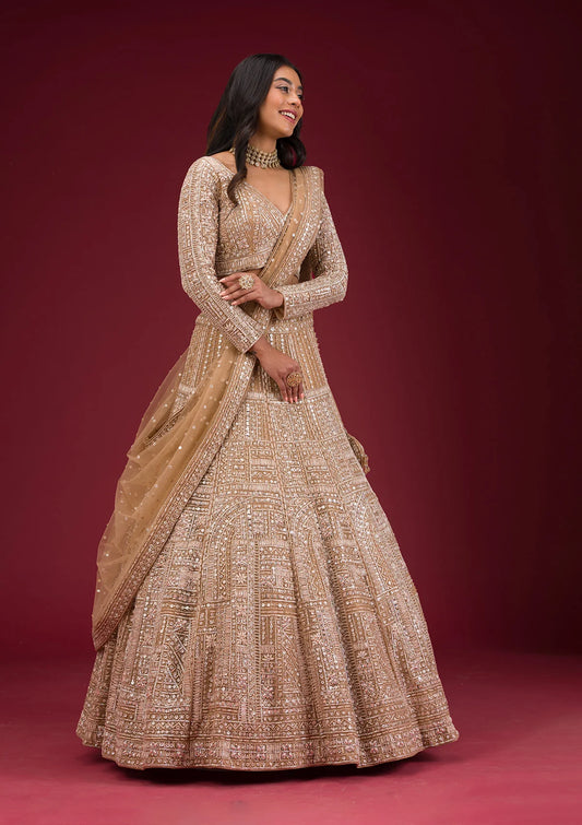 Beige Net Lehenga with Sequins Embroidery – Ready-to-Wear Wedding and Reception Wear